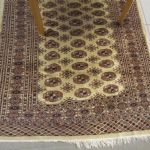 666 1540 ORIENTAL RUG